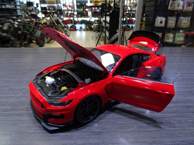 2017 Shelby GT350R Mustang - Image 4