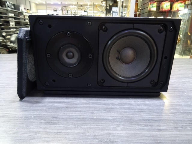 (100 Watts) Haut Parleur  Amplifie