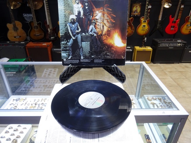 Great White - Image 3