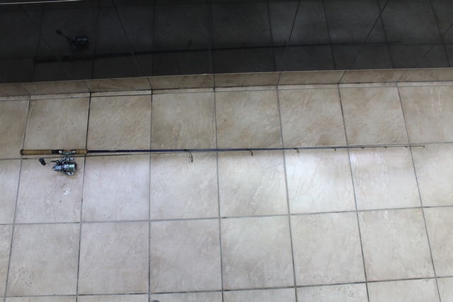 canne a peche + moulinet