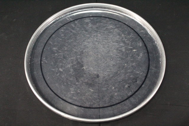 Peau de Tom 13 pouce - Image 2