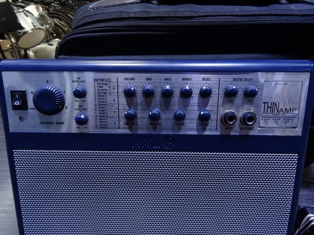  (10 Watts) Ampli de Guitare avec DSP+ac - Image 2