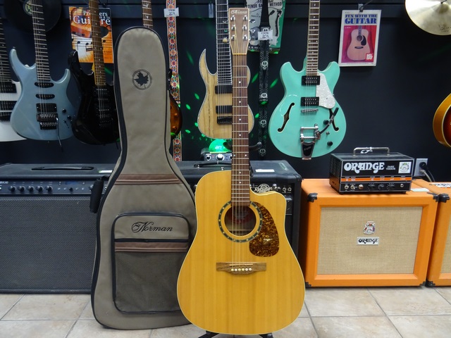 Guitare Electro Acoustique 