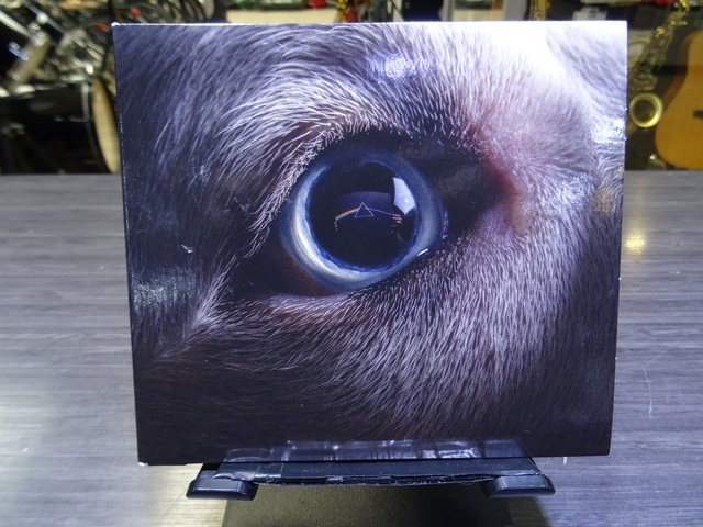 Roger Waters the Dark Side of the Moon Redux