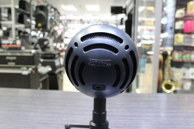 Microphone - Image 3
