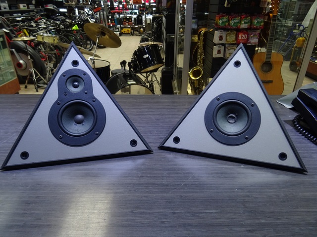 (25 watts) paire de haut parleur messina DV300 - Image 2