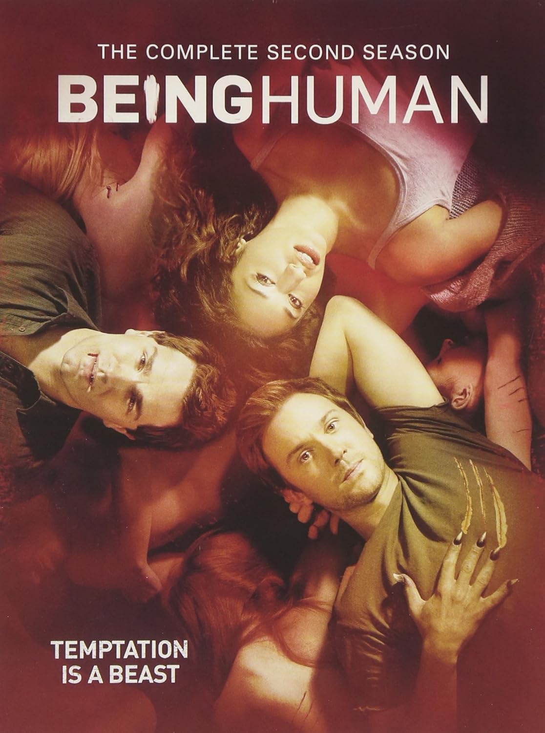 Being Human saison 2 dvd serie