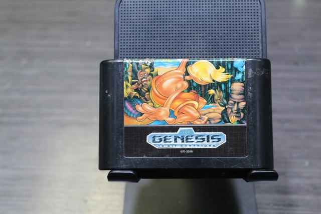 Greendog The Beached Surfer Dude Sega Genesis