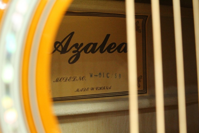 Guitare Acoustique Azalea w-01c - Image 2