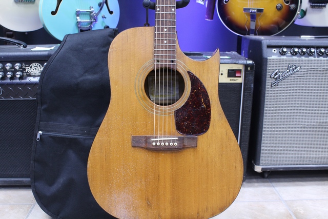 Guitare Acoustique de Feux Camp NORMAN b20cw - Image 3