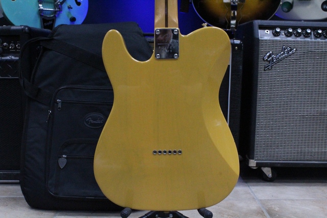 Guitare Electrique Fender Telecaster made in Mexico Player Plus 75 - Image 4