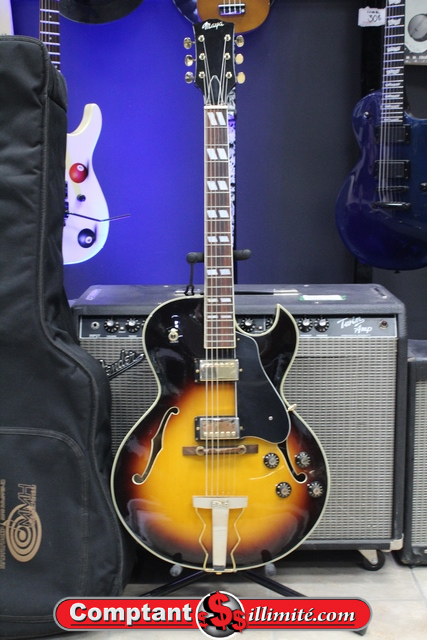 Guitare Hallowbody Vintage Maya ES-175