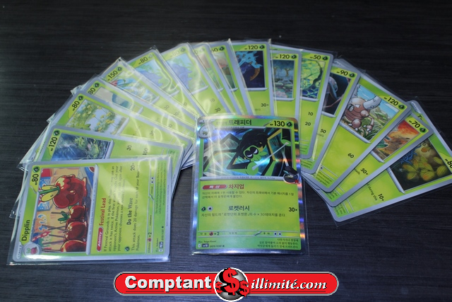Lot (Grass) cartes Pokemon (18) Moitiee Coreen carte pokemon