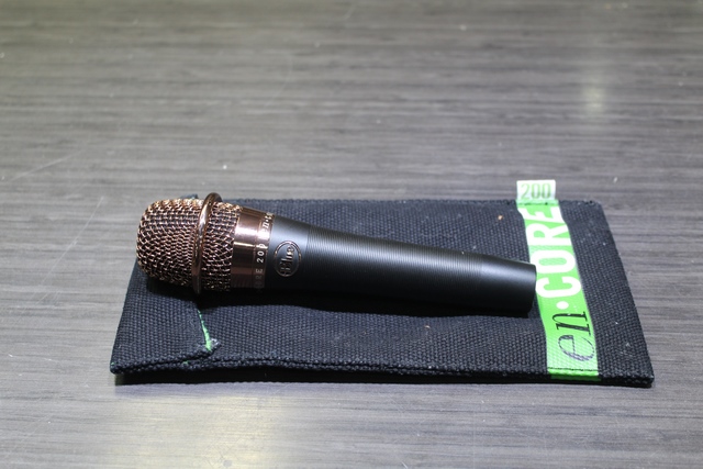 Microphone Condensateur Blue en-core 200