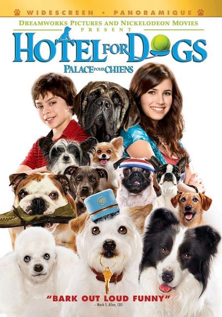 Palace pour Chiens * film dvd