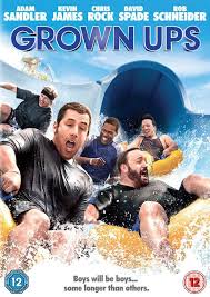 grown ups film dvd