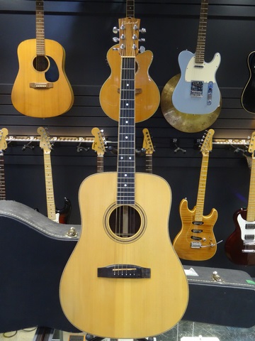 Guitares Acoustiques 