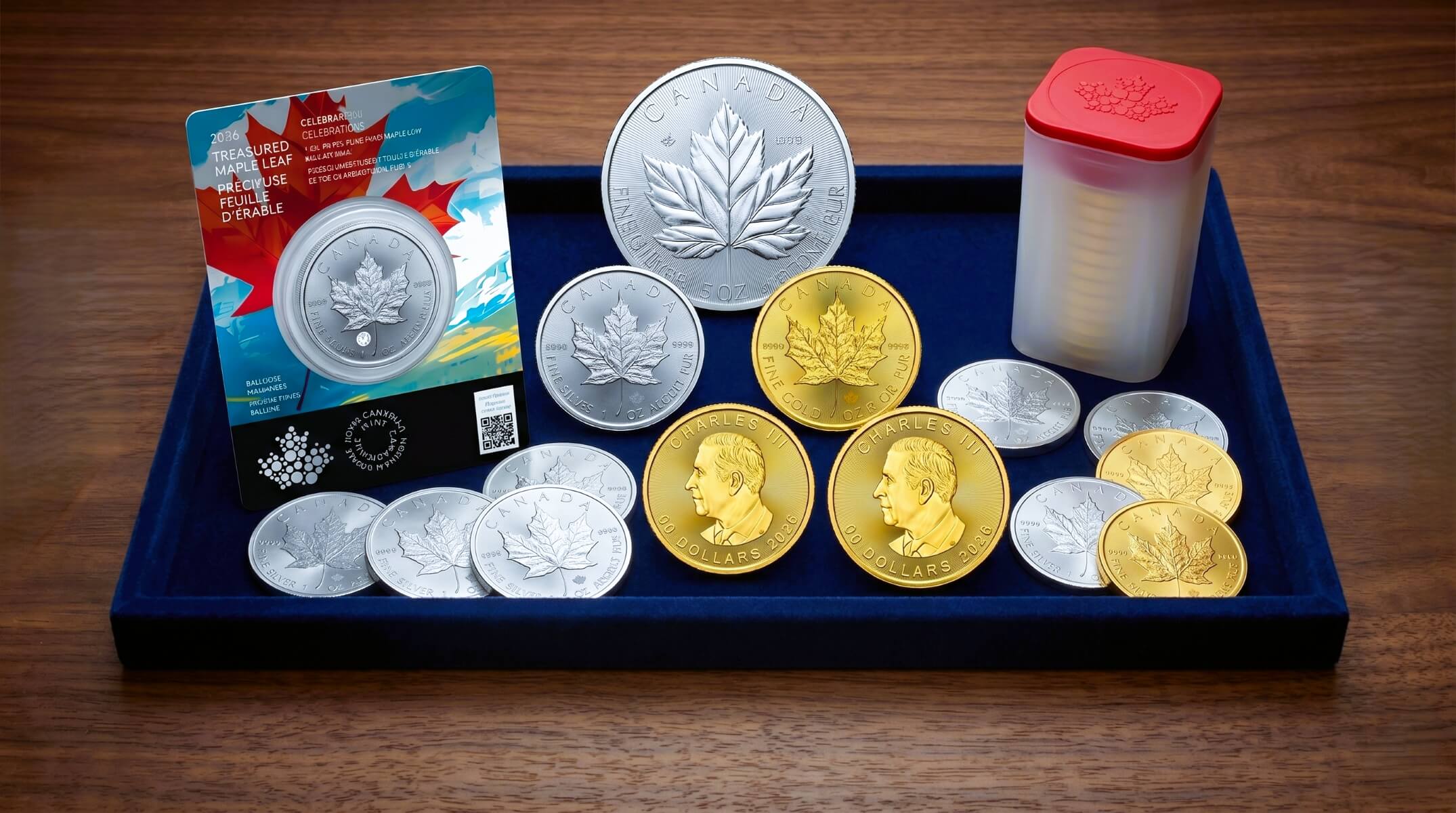 PIÈCES DE MONNAIE